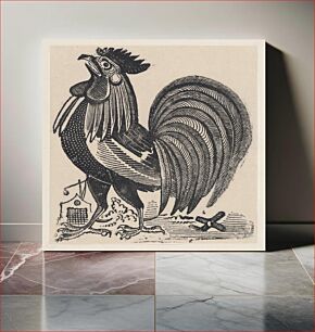 Πίνακας, A rooster
