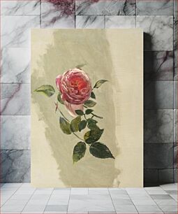 Πίνακας, A Rose Bough (1860–70) flower illustration by Frederic Edwin Church