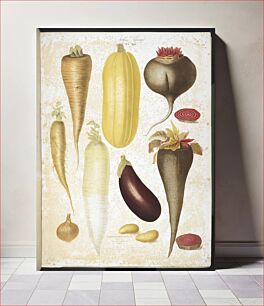 Πίνακας, A selection of vegetables, including aubergine, onion, carrot, and potato