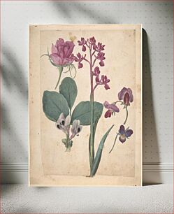 Πίνακας, A Sheet of Studies of Flowers: A Rose, a Heartsease, a Sweet Pea, a Garden Pea, and a Lax-flowered Orchid