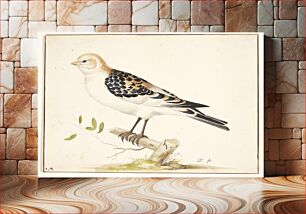 Πίνακας, A snow sparrow (plectrophenax nivalis) by Pieter Holsteijn
