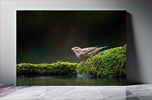 Πίνακας, A Sparrow on Moss Ένα σπουργίτι στο βρύο