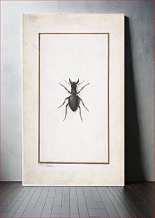 Πίνακας, A Stag Beetle