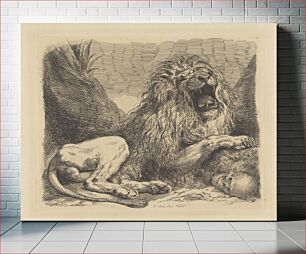 Πίνακας, A Study from Nature; a lion among rocks, roaring, a human skull lower right