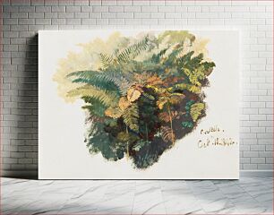 Πίνακας, A Study of Ferns, Civitella (1842) by Edward Lear