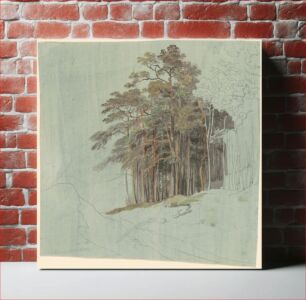 Πίνακας, A Study of Pine Trees (c. 1820) by Johann Jakob Dorner the younger