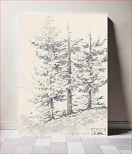 Πίνακας, A study of three trees by Friedrich Carl von Scheidlin