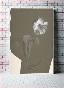 Πίνακας, A Study of Two White Lilies by Antoine Berjon