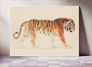 Πίνακας, A Tiger, Full-Length, in Profile, Walking Towards Right (1755–1834) by Thomas Stothard