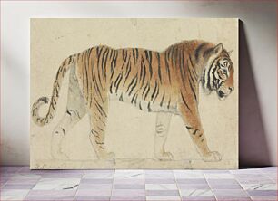 Πίνακας, A Tiger, Full-Length, in Profile, Walking Towards Right, by Thomas Stothard (1755–1834)