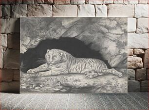 Πίνακας, A Tiger Lying in the Entrance of a Cave