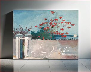 Πίνακας, A Wall, Nassau by Winslow Homer