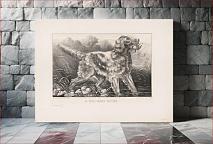 Πίνακας, A well-bred setter (1871) by Currier & Ives