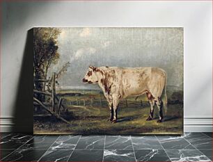 Πίνακας, A Young Bull (ca. 1849) by John Woodhouse Audubon