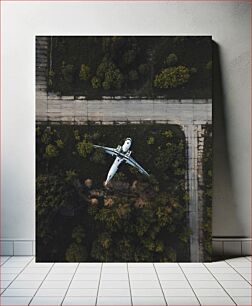 Πίνακας, Abandoned Airplane in Forest Εγκαταλελειμμένο αεροπλάνο στο δάσος