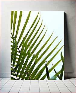 Πίνακας, Abstract Palm Leaves Αφηρημένα φύλλα φοίνικα