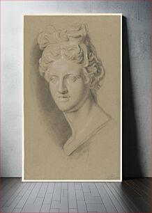 Πίνακας, Academic Study of a Cast of a Classical Female Bust by Giuseppe Longhi