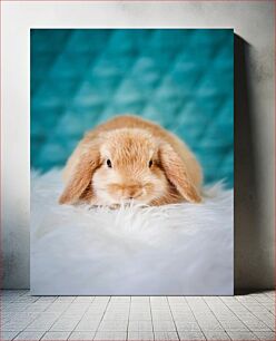 Πίνακας, Adorable Bunny on Fluffy Blanket Αξιολάτρευτο λαγουδάκι σε αφράτη κουβέρτα