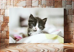 Πίνακας, Adorable Kitten Αξιολάτρευτο γατάκι