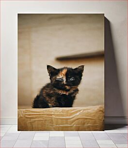Πίνακας, Adorable Kitten Αξιολάτρευτο γατάκι