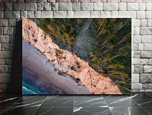 Πίνακας, Aerial View of a Forest and Beach Εναέρια άποψη ενός δάσους και μιας παραλίας