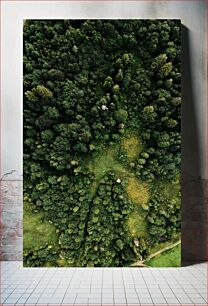 Πίνακας, Aerial View of a Forest Αεροφωτογραφία ενός δάσους