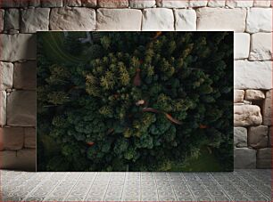 Πίνακας, Aerial View of a Forest Αεροφωτογραφία ενός δάσους