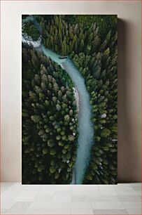 Πίνακας, Aerial View of a Forest River Εναέρια άποψη ενός δασικού ποταμού