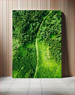 Πίνακας, Aerial View of a Lush Green Forest Εναέρια άποψη ενός καταπράσινου δάσους