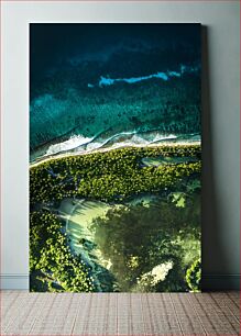 Πίνακας, Aerial View of a Tropical Coastline Εναέρια άποψη μιας τροπικής ακτογραμμής