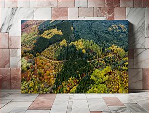 Πίνακας, Aerial View of Autumn Forest Αεροφωτογραφία του φθινοπωρινού δάσους