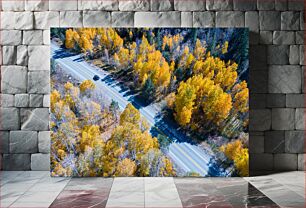 Πίνακας, Aerial View of Autumn Trees Lining a Road Εναέρια άποψη των φθινοπωρινών δέντρων που καλύπτουν έναν δρόμο