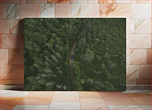 Πίνακας, Aerial View of Car Driving Through Forest Αεροφωτογραφία της οδήγησης αυτοκινήτου μέσα από το δάσος