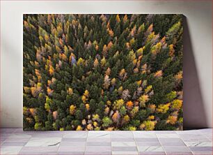 Πίνακας, Aerial View of Colorful Forest Αεροφωτογραφία του πολύχρωμου δάσους