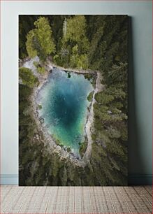 Πίνακας, Aerial View of Forest and Lake Εναέρια άποψη του δάσους και της λίμνης