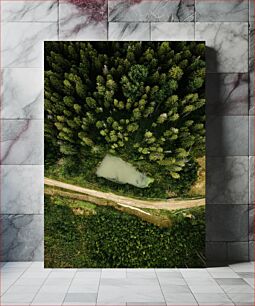 Πίνακας, Aerial View of Forest and Pond Εναέρια άποψη του δάσους και της λίμνης