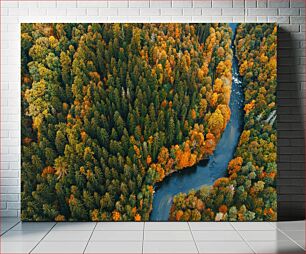 Πίνακας, Aerial View of Forest in Autumn Αεροφωτογραφία του δάσους το φθινόπωρο