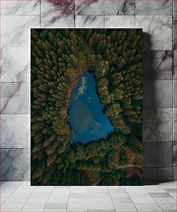 Πίνακας, Aerial View of Forest Lake Αεροφωτογραφία της Λίμνης Δάσους