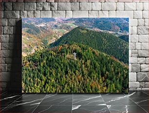 Πίνακας, Aerial View of Forest Landscape Αεροφωτογραφία του δασικού τοπίου