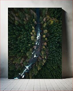 Πίνακας, Aerial View of Forest River Εναέρια άποψη του ποταμού Forest