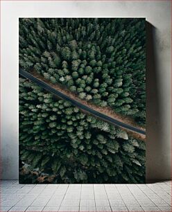 Πίνακας, Aerial View of Forest Road Αεροφωτογραφία του Δασικού Δρόμου