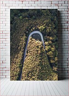 Πίνακας, Aerial View of Forest Road Αεροφωτογραφία του Δασικού Δρόμου