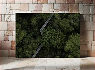 Πίνακας, Aerial View of Forest with Walkway Εναέρια άποψη του δάσους με διάβαση πεζών