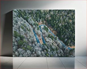 Πίνακας, Aerial View of Forest with Winding Road Εναέρια άποψη του δάσους με το δρόμο με στροφές