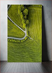 Πίνακας, Aerial View of Green Fields and Roads Αεροφωτογραφία των πράσινων πεδίων και δρόμων