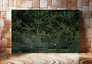 Πίνακας, Aerial View of Lush Green Palm Trees and Farmland Εναέρια άποψη των καταπράσινων φοινίκων και των καλλιεργειών