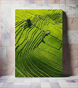 Πίνακας, Aerial View of Rice Terraces Αεροφωτογραφία των ταράτσων ρυζιού