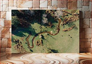 Πίνακας, Aerial View of Serpentine Stream in Forest and Meadow Εναέρια άποψη του Serpentine Stream στο δάσος και το λιβάδι