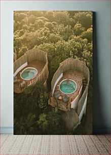 Πίνακας, Aerial View of Spa Pods in Lush Forest Αεροφωτογραφία των λοβών σπα στο καταπράσινο δάσος