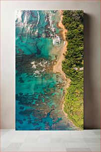 Πίνακας, Aerial View of Tropical Beach and Forest Εναέρια άποψη της τροπικής παραλίας και του δάσους